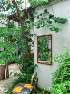 Không gian phủ xanh tại Bamos Coffee