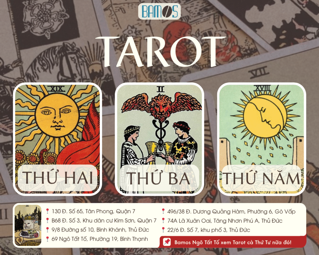 Xem bài tarot tại quán cafe sai gon Bamos Coffee
